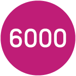 6000